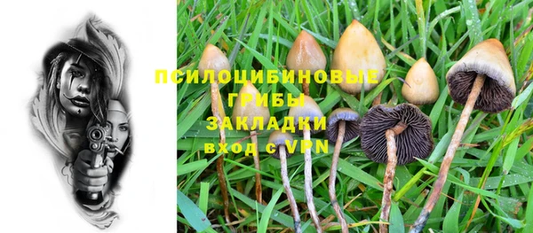 PSILOCYBIN Бронницы