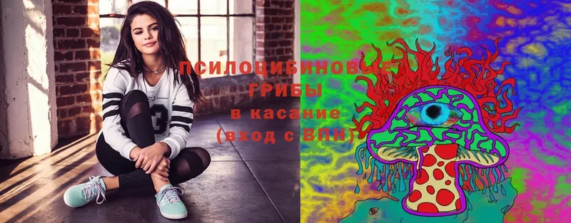 Псилоцибиновые грибы MAGIC MUSHROOMS  купить наркоту  Калуга 